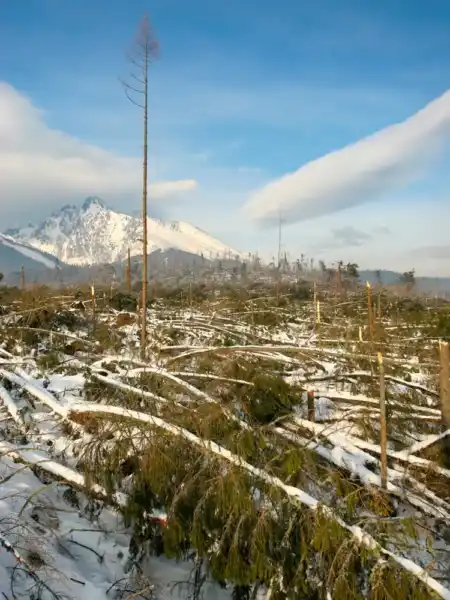 Dva dni po smršti v tatrách