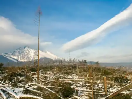 Vysoké tatry Kalamita 2004