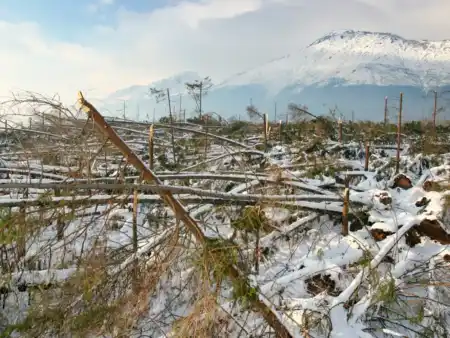 Vysoké tatry Kalamita 2004