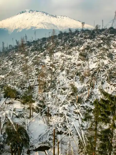 Tatranská kalamita 2004