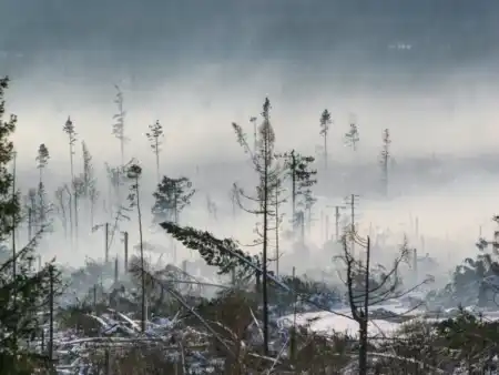 Tatranská kalamita 2004