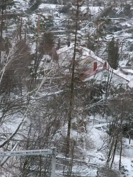 Tatranská kalamita 2004