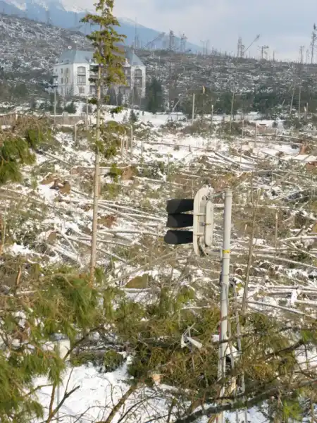 Dva dni po smršti v tatrách