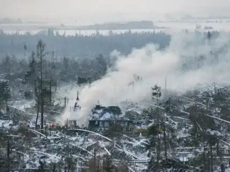 Spaľovanie haluziny