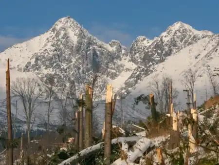 Vysoké tatry Kalamita 2004