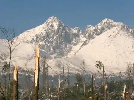 Tatranská veterná smršť 2004