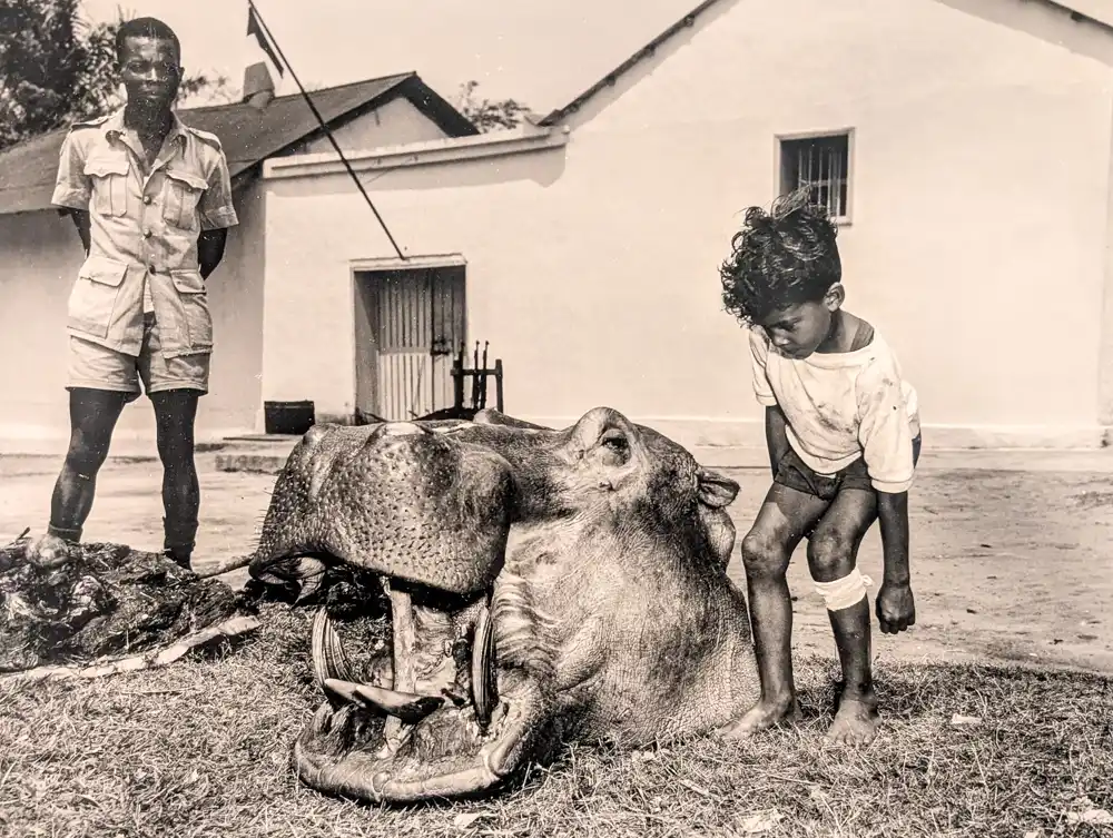 EMST Atény: Why Look at animals