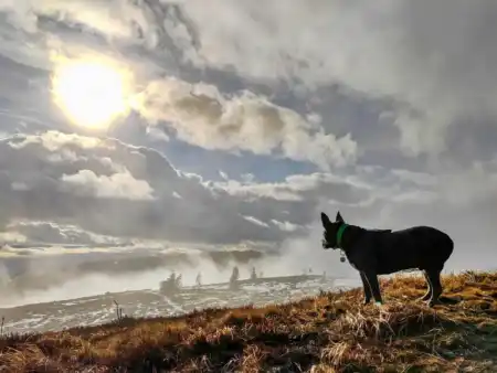 Vrchol Kojšovská hoľa