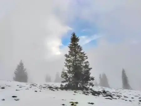 Vrchol Kojšovská hoľa