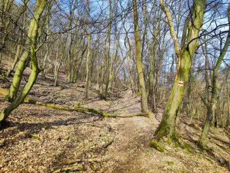 Túra v Kováíčskych kopcoch