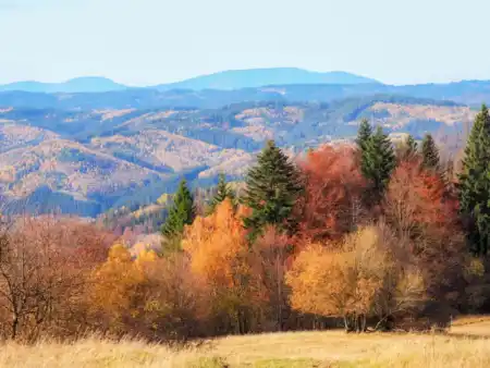 Vrch Kamenité Kysuce