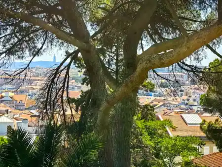 Miradouro do Monte Agudo