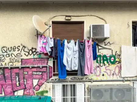 Vandlaizmus vs grafiti