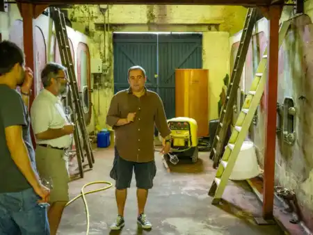 Thomas Tui vo viniciach