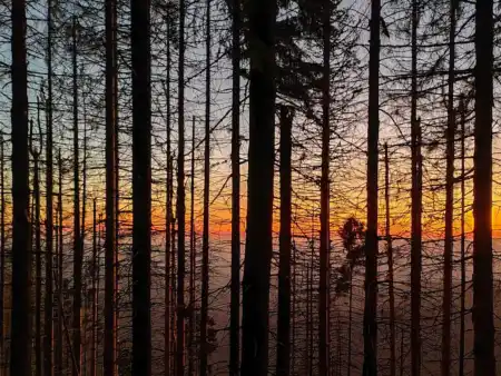 Západ slnka na Volovci