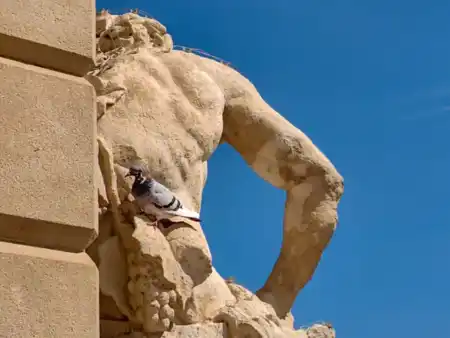 Chariot of the Aurora