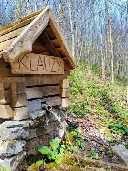 VN Klauzy