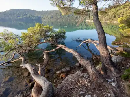 Velko Jezero