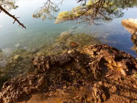 Dotyk medúza Mljet