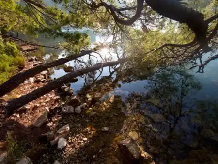 Zákutia veľkého jazera Mljet