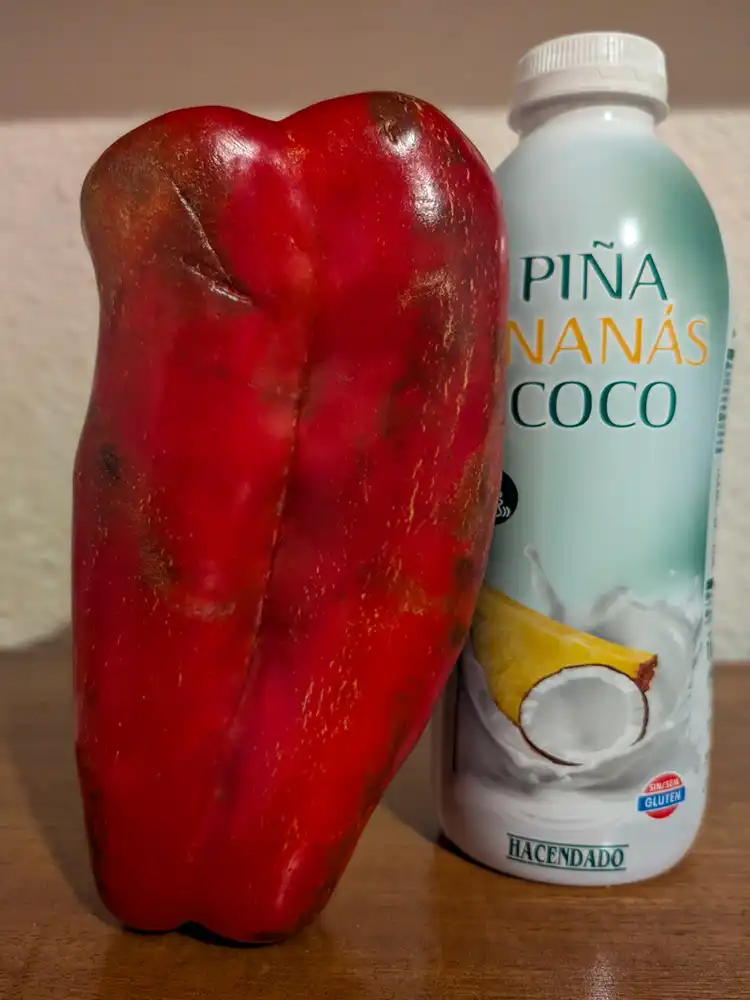 Najväčšia paprika v mojom živote