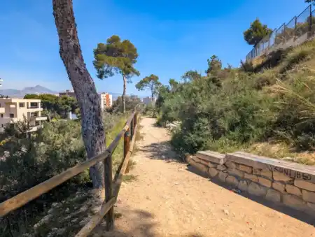 Lucentum Alicante
