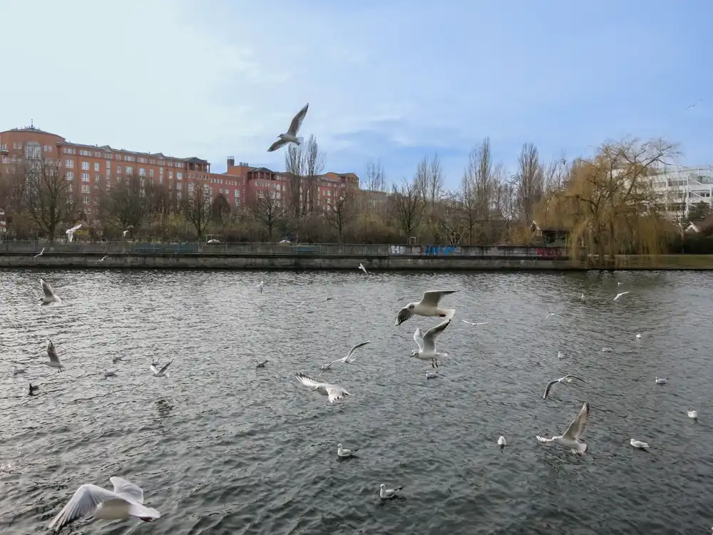 Best Cycling routes Berlin