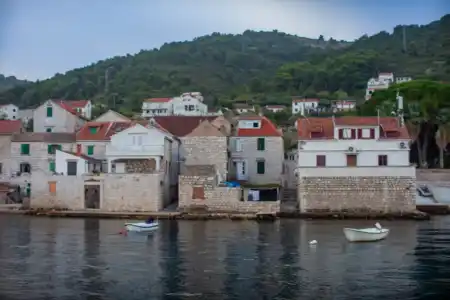 Vis - Kut