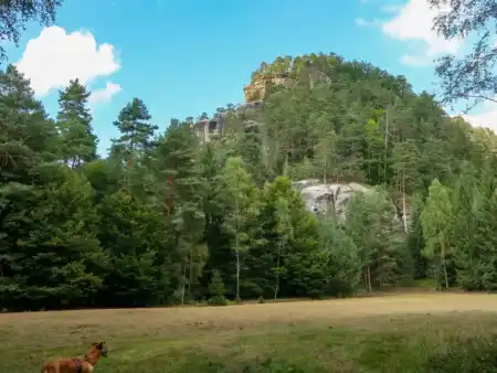 Rodinná turistika v Českom Švajčiarsku