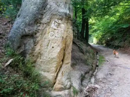 Rodinná turistika v Českom Švajčiarsku