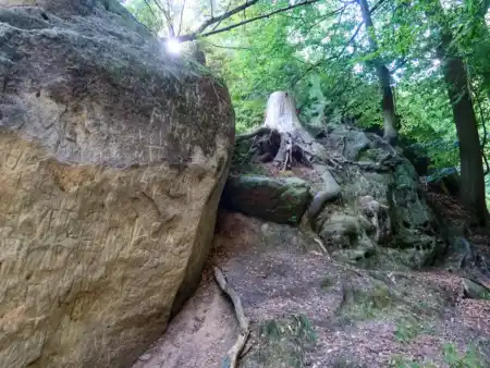 Jetřichovický okruh cez Rudolfův kámen