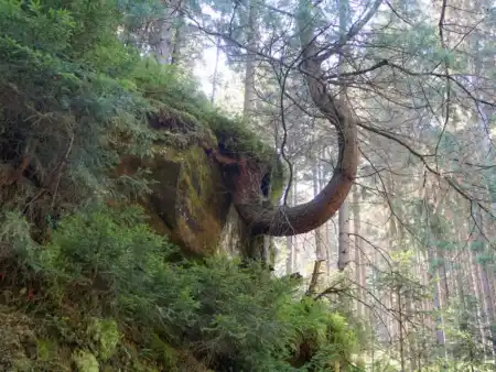 MTB tek Kyjovsé údolí