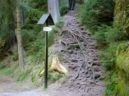 Rozhledna Kinských