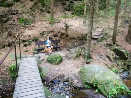 Rozhledna Kinských