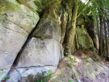 MTB na Zadní Jetřichovice