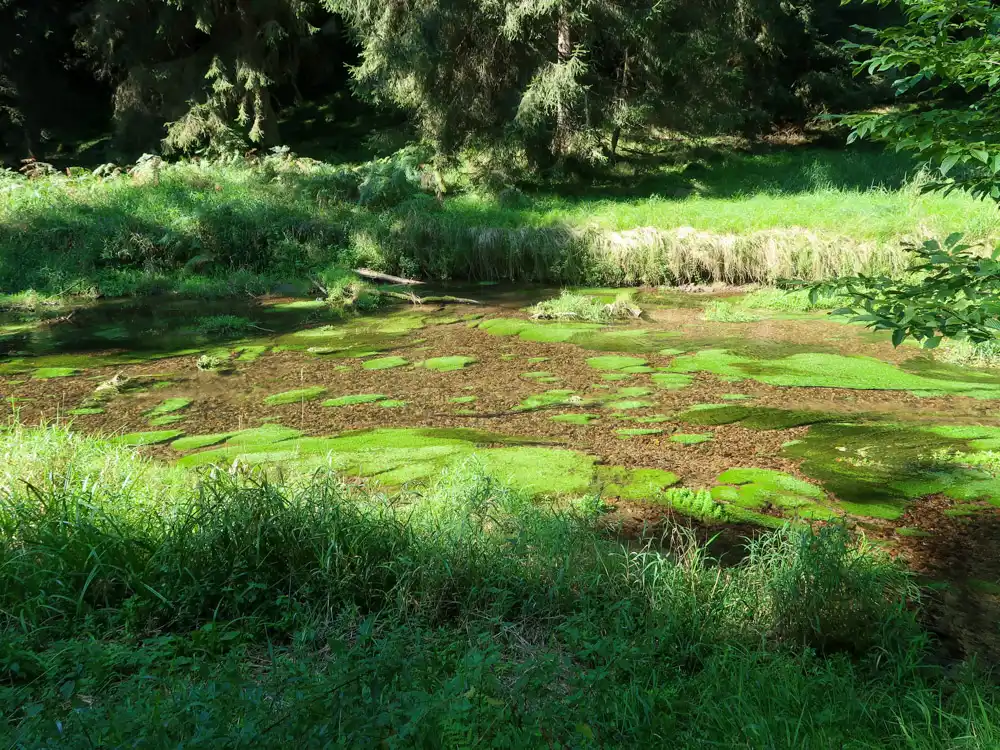 Cyklotrasa v Kaňove Křinice
