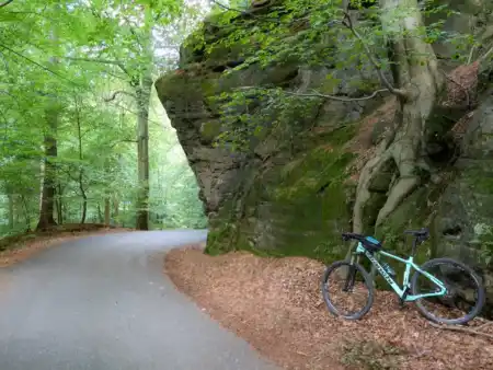 MTB Jetřichovice