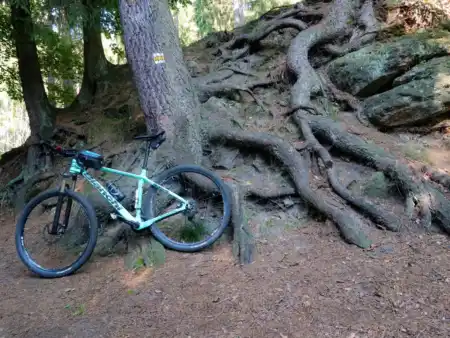 MTB výšľap z Rynartíc