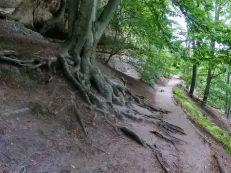 Výstup na Vekú Pravčickú Bránu