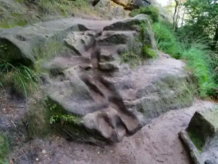 vyšliapaný chovdník