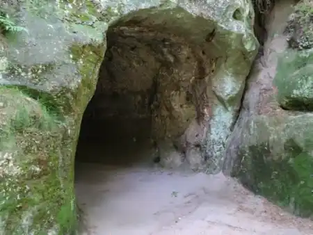 Sokolie hniezdo
