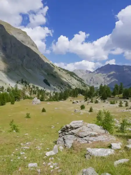 Col du Champs