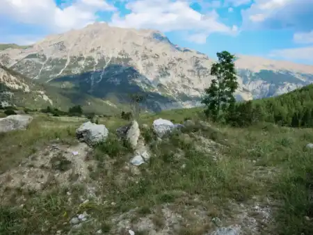 Col du Izoard