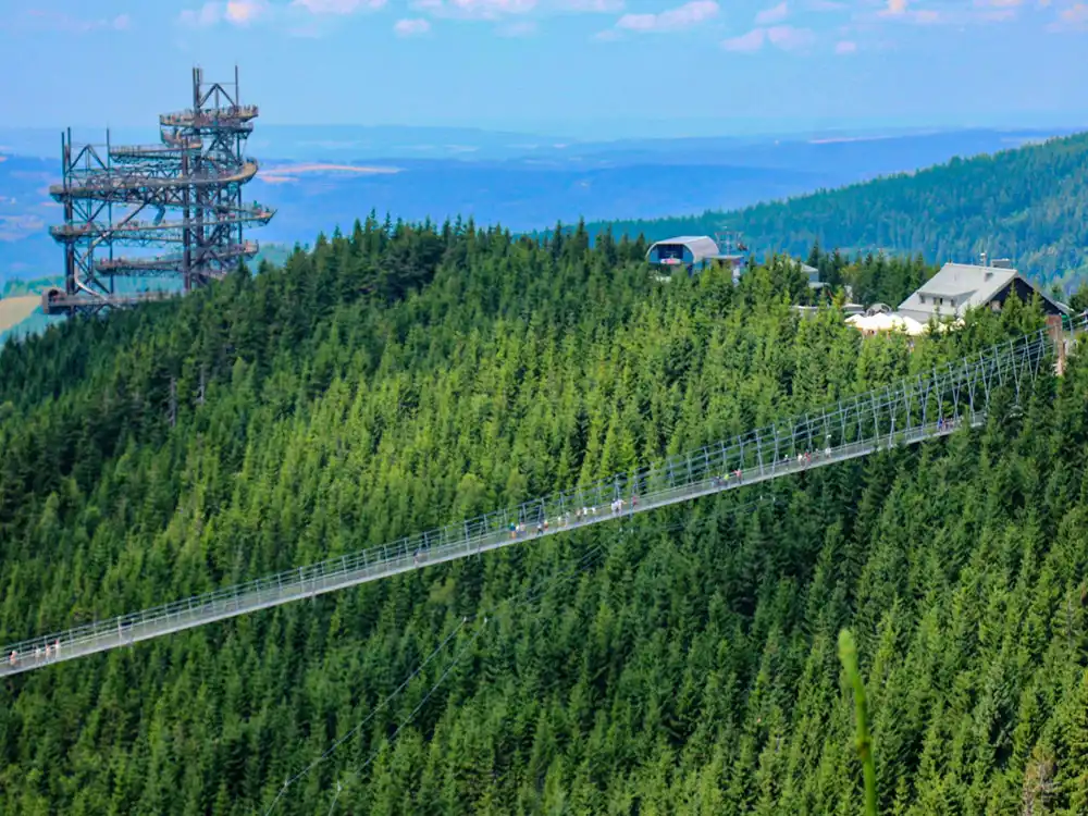 Sky Bridge 721