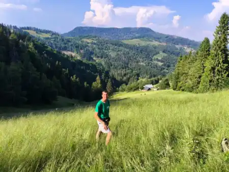 Jaohodvé Polia