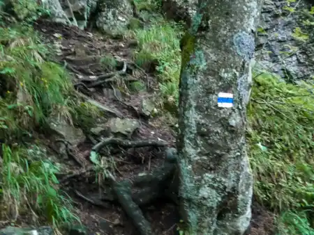 Stúpame po modrej značke na Sitno
