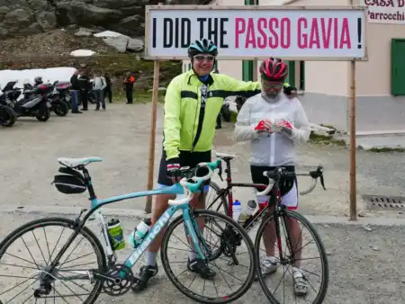 Passo Gavia top