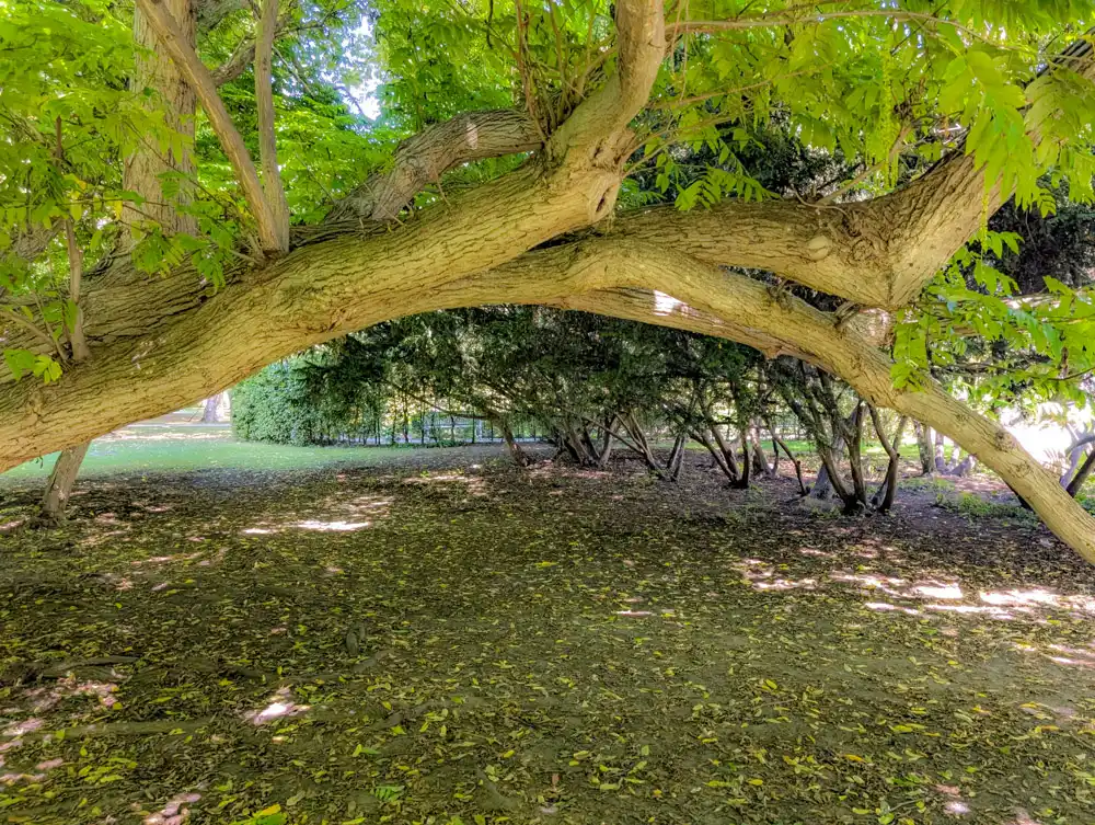 Park zámku Třeboň