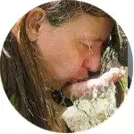 Daneckov avatar