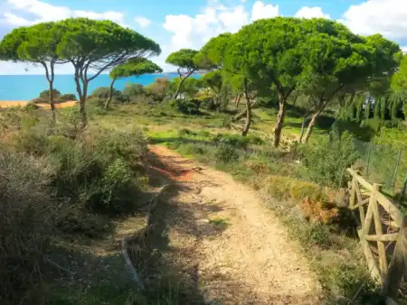 Po hrebeni Algarve Falésia